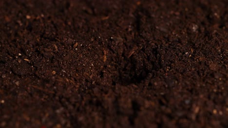 a hand gently plants a seed into dark, rich soil, preparing for growth. close-up view with natural lighting