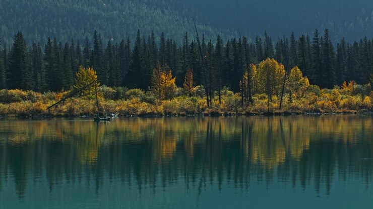 Canoë sur un lac ramant au loin en automne