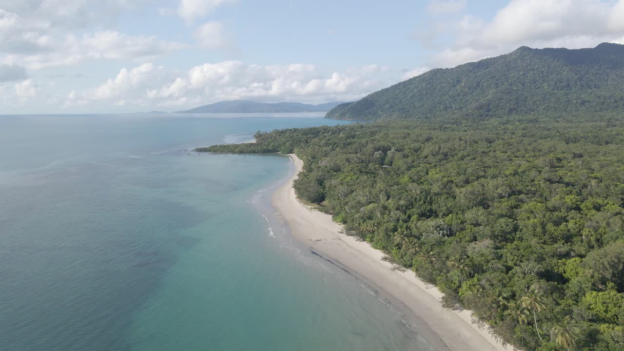 bosque denso bordeado por una playa de arena blanca con un mar azul brillante