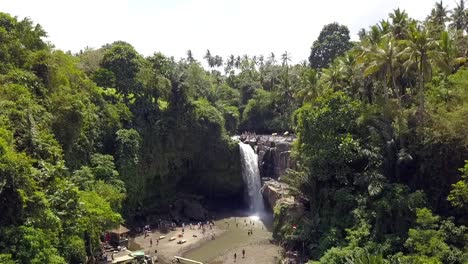 巴厘島的森林瀑布 (bali jungle waterfall)