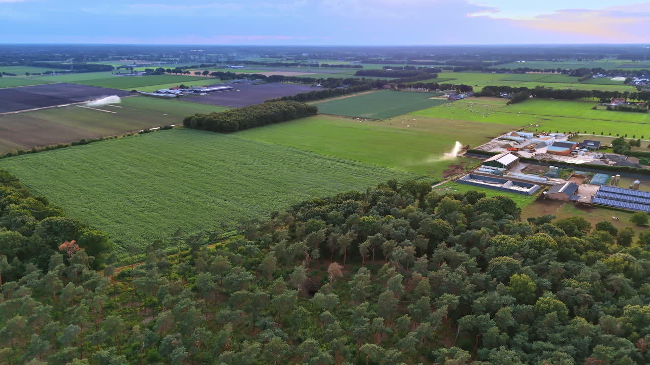 Rural fields and forests. Aerial view of lush fields and a forest edge with farmland and buildings under a colorful sky at dusk
