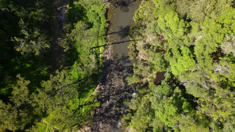 alta vista de drones de un pintoresco arroyo de arbustos que serpentea a través de una selva tropical del interior de australia