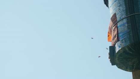 bees flying around a beehive