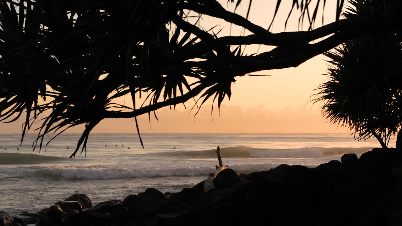 Surf all'alba a Burleigh Heads, Gold Coast, Australia
