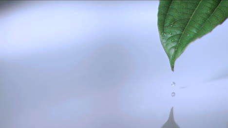 water droplet falling in super slow motion