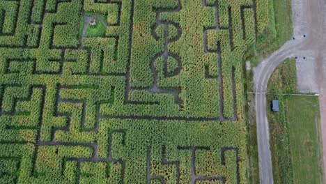 Mais-Maze-Desde-La-Perspectiva-De-Un-Dron-En-Groningen,-Países-Bajos