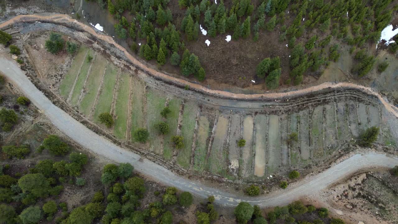 vista de la selva, el avión no tripulado vuela sobre un paisaje de densas montañas cubiertas de bosques verdes, vista aérea de exuberantes montañas de bosque verde, vista de la jungla