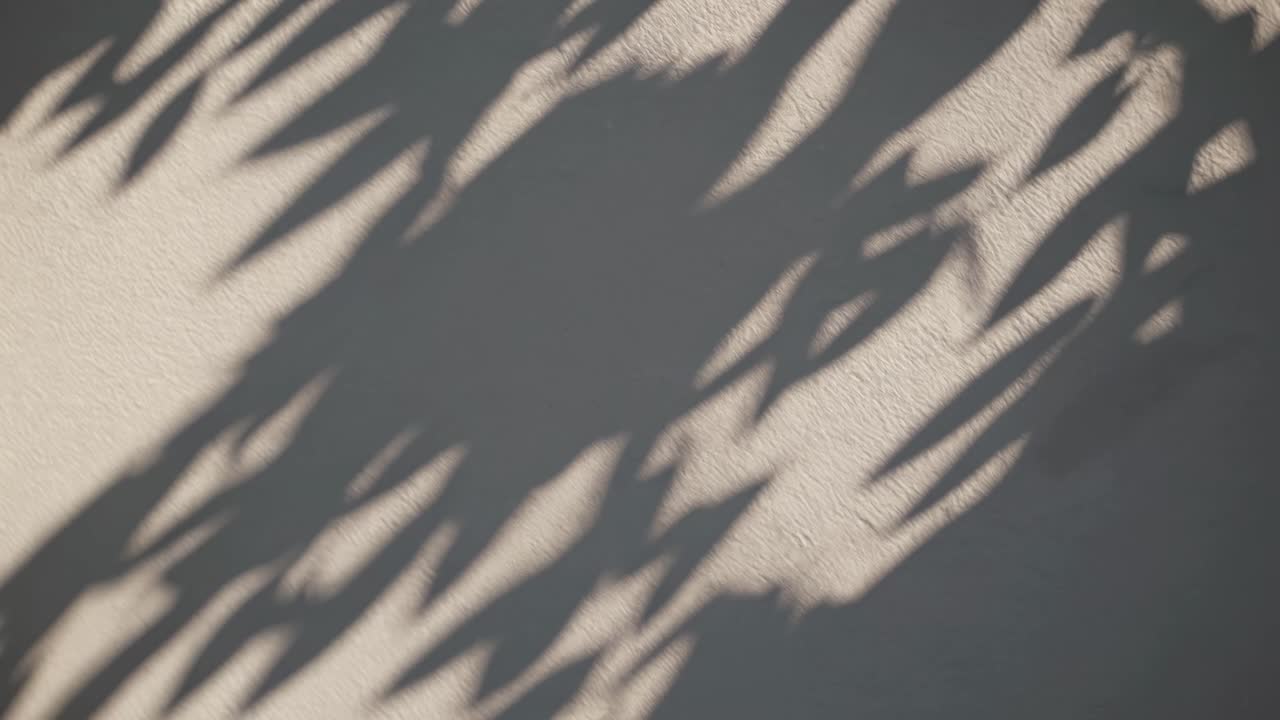Abstract video of leaf shadows on a textured wall, captured from a high angle
