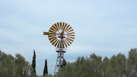 Gelbes-Windrad,-Das-Aus-Der-Vegetation-Vor-Blauem-Himmel-Herausragt