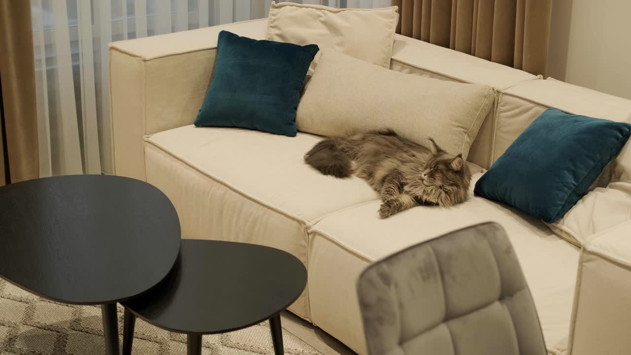 interior moderno y elegante de una cocina-salón. diseño de interiores para el hogar