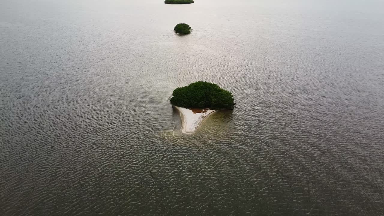 4k Aerial bird's eye view shot over a little islandwith mangrooves and withe sand in a lagoon of Veracruz, Mexico at sunset