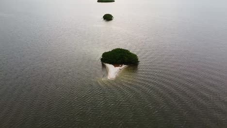 4k aerial bird's eye view shot over a little islandwith mangrooves and withe sand in a lagoon of veracruz, mexico at sunset