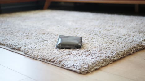 wallet on a beige carpet