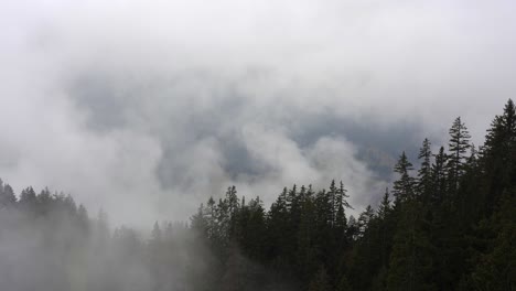slow moving cloud vapor obscures the mountains in this valley in the alps