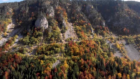 aerial view of incredible fall colors in the durmitor national park in montenegro