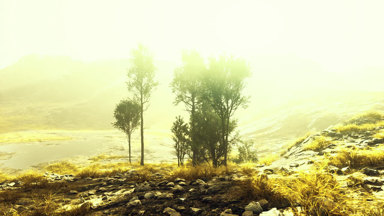 Sunlight bathes a rocky landscape lighting distant hills and trees