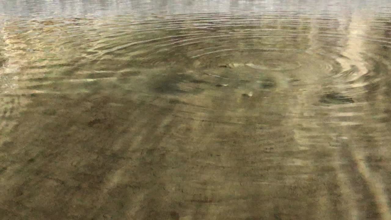 연못에 물방울이 떨어집니다.