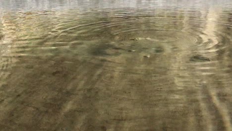 water drips in pond