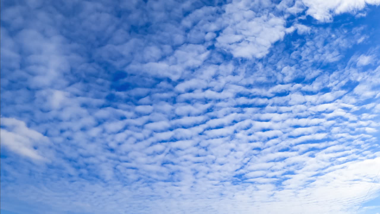 White light altocumulus clouds floating along the horizon. Blue sky covered with cloudscape. Low angle view.