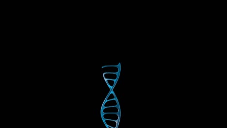 3d animation of dna growth on the black background. the direction of dna is upright.