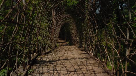 shot through a passage made of tree branches, artistic construction ponte di s