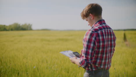 farmer checking wheat crop