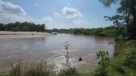 This-is-a-video-of-a-large-river,-flowing-swiftly-past-several-trees,-and-over-flowing-its-banks,-causing-erosion