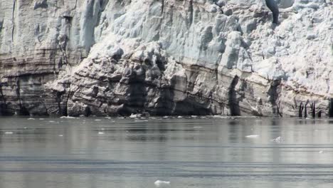 close-up of margerie glacier ice wall and the tarr inlet bay-waters