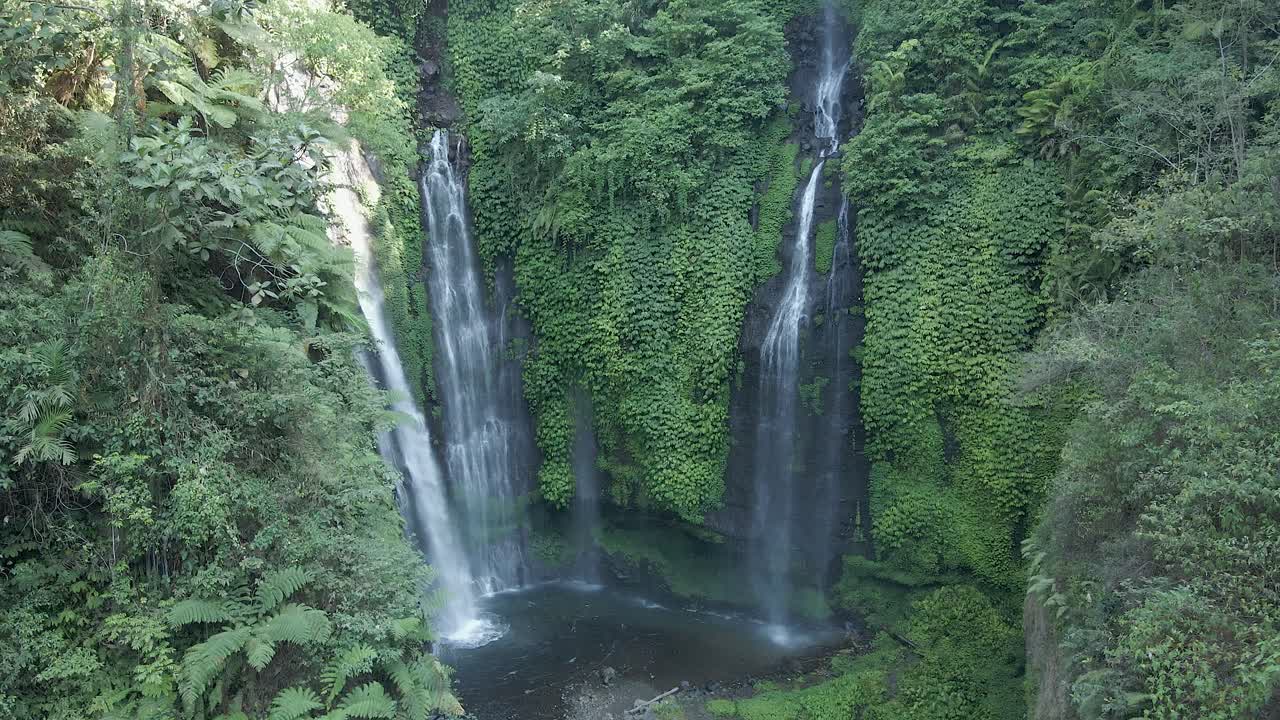 tres cascadas fluyen por el acantilado de la selva, sekumpul bali