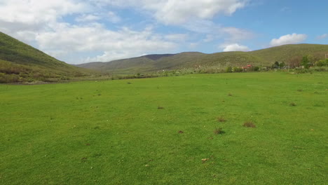 Dron-Volador-De-Bajo-Nivel-En-Campo.-50-Fps