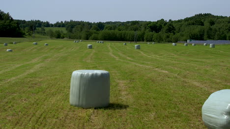 hay bales wrapped in white plastic bags after harvesting crops on agricultural farm field - aerial pushback