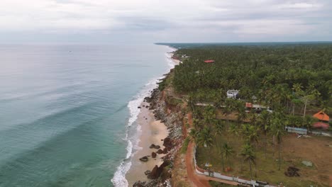 beautiful arial view of a cliff with palm trees and the sea hitting the cliff stones - kerala, south india