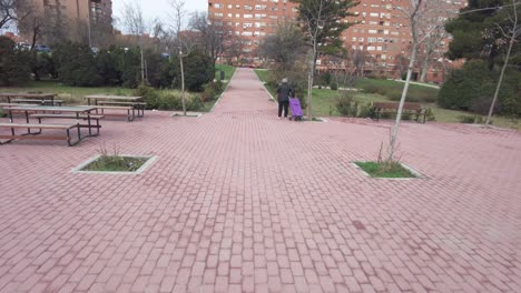 old woman on a red brick pedestrian path with a purple wheelie bag