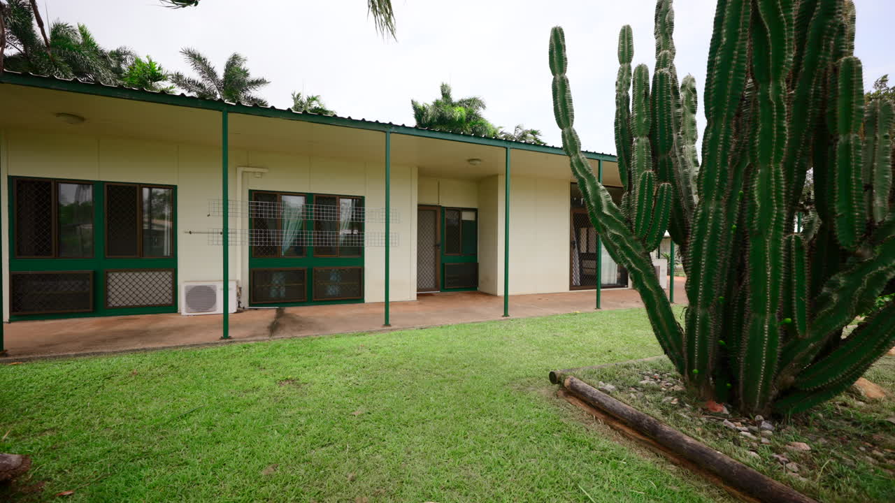 Piccola casa in stile texano in Australia con un grande cactus tentacolare in un giardino in stile xeriscape arido, accanto a una palma pendente