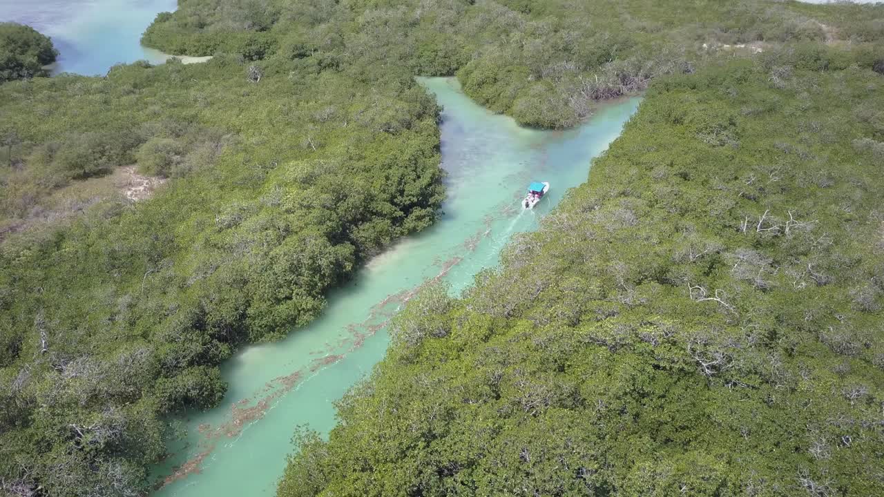 barco turístico lleva a los turistas a la laguna de manglares en sian ka'an, méxico