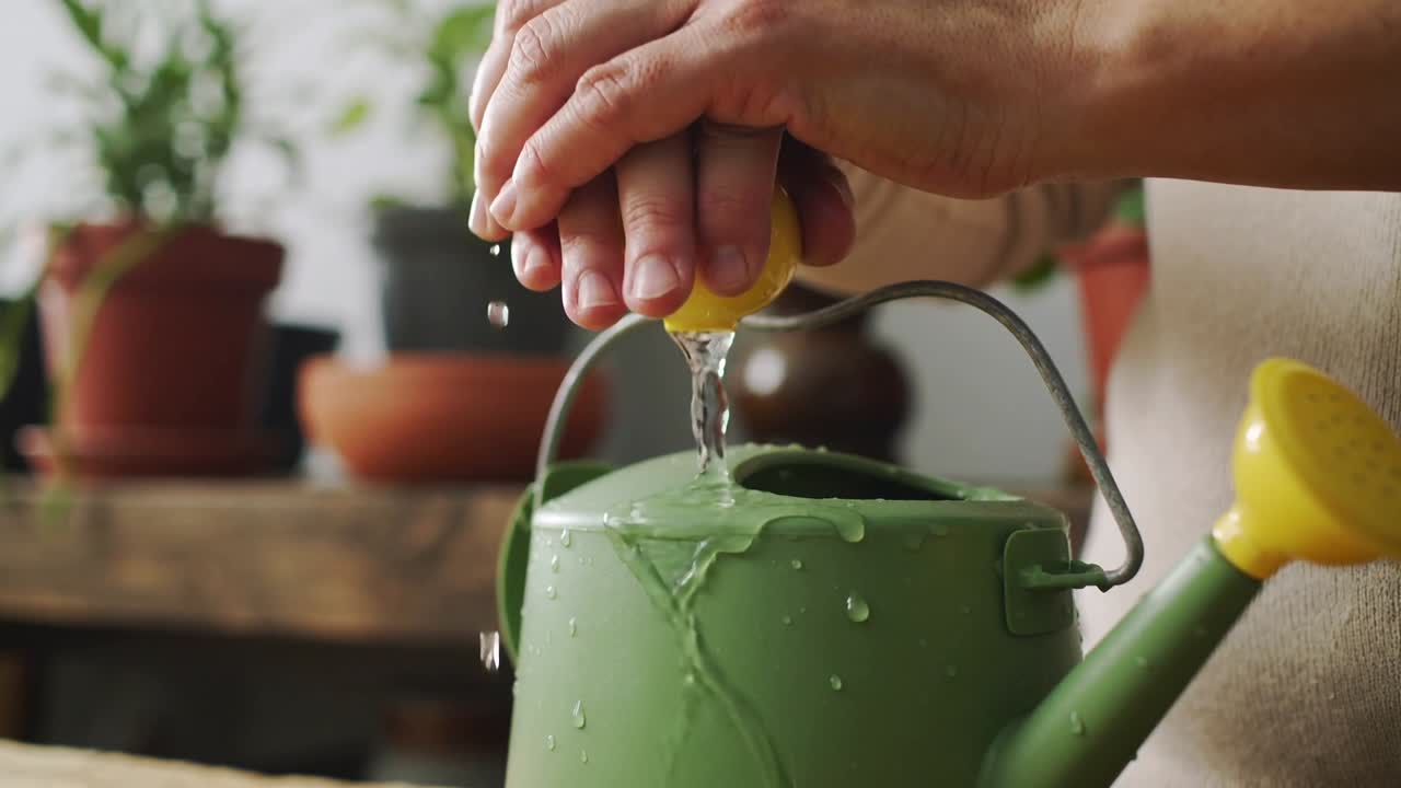 Eine Frau in hellem Oberteil presst über einer Pflanzbank eine halbe Zitrone aus, wobei Saft in eine grüne Kanne fließt.