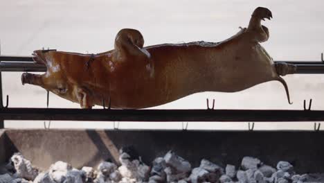 cerdo asado en una saliva