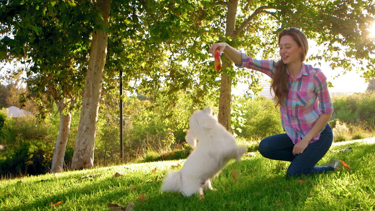 젊은 여성이  ⁇ 색  ⁇ 은 개에게 점프를 가르치고 있습니다.