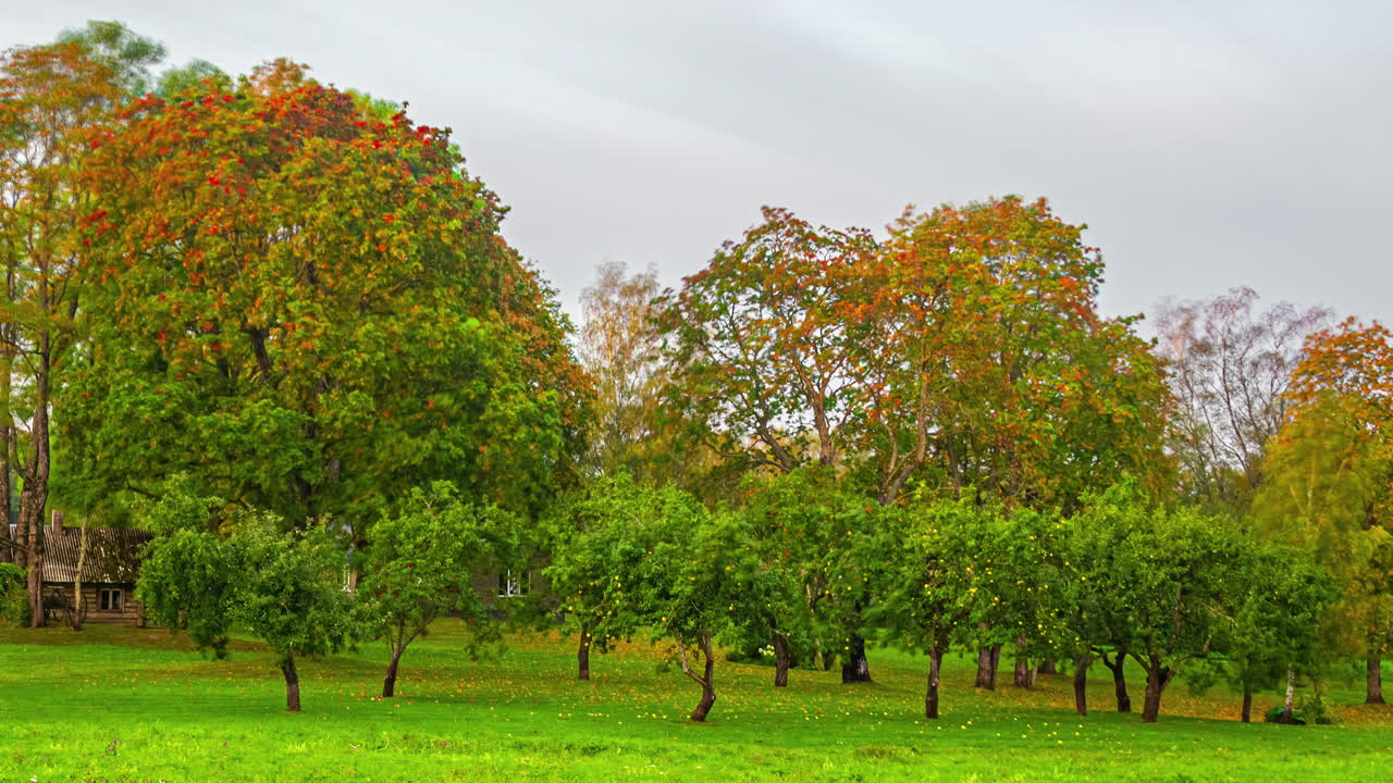 vista de la naturaleza de finales de otoño a principios de invierno en la aldea rural
