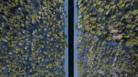 toma aérea de arriba hacia abajo de un camino recto de asfalto vacío debido a la pandemia en medio del bosque cubierto de nieve en invierno