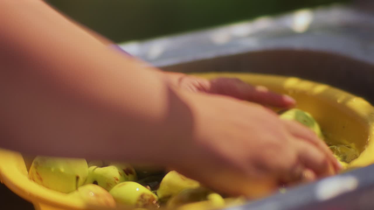 Macro de uma mulher lavando maçãs verdes em um balde amarelo em um dia ensolarado.