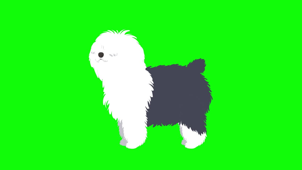 말테스 강아지 산책 사이클 애니메이션