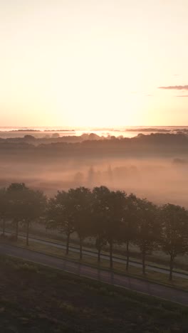 misty sunrise over country road