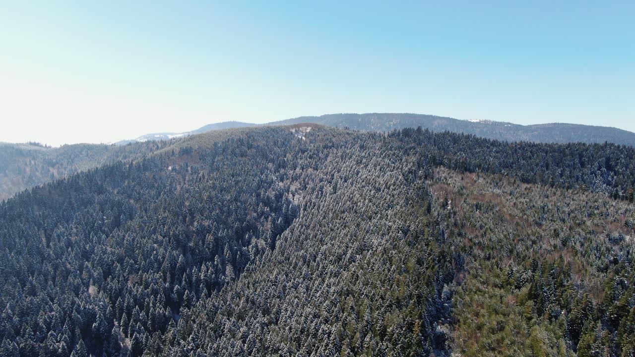 A view of mountains covered in trees The sky is blue Some trees are covered in snow and ice The sun is shining A mountain is the background