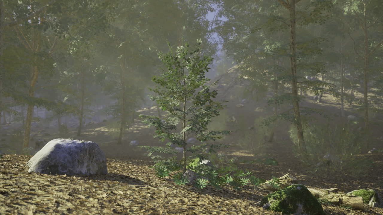 Young tree growing in a serene forest setting during daylight hours