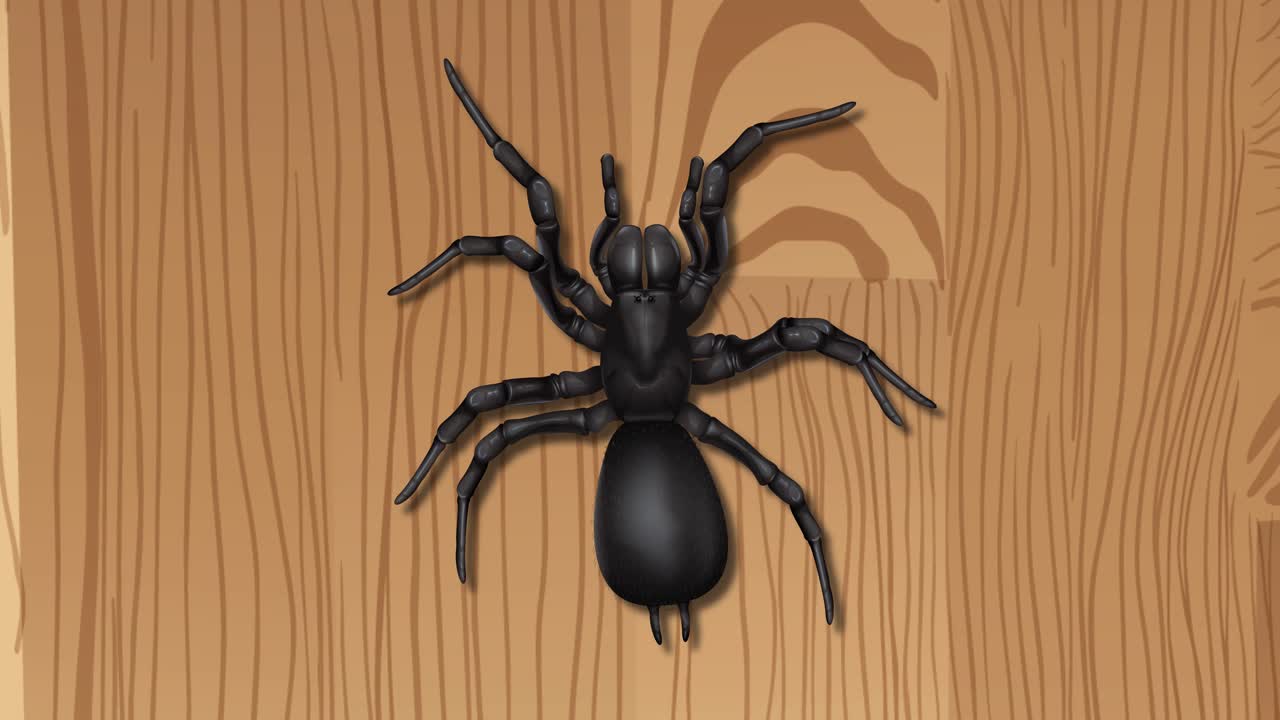 검은 거미가 나무 바탕을 가로질러 움직인다