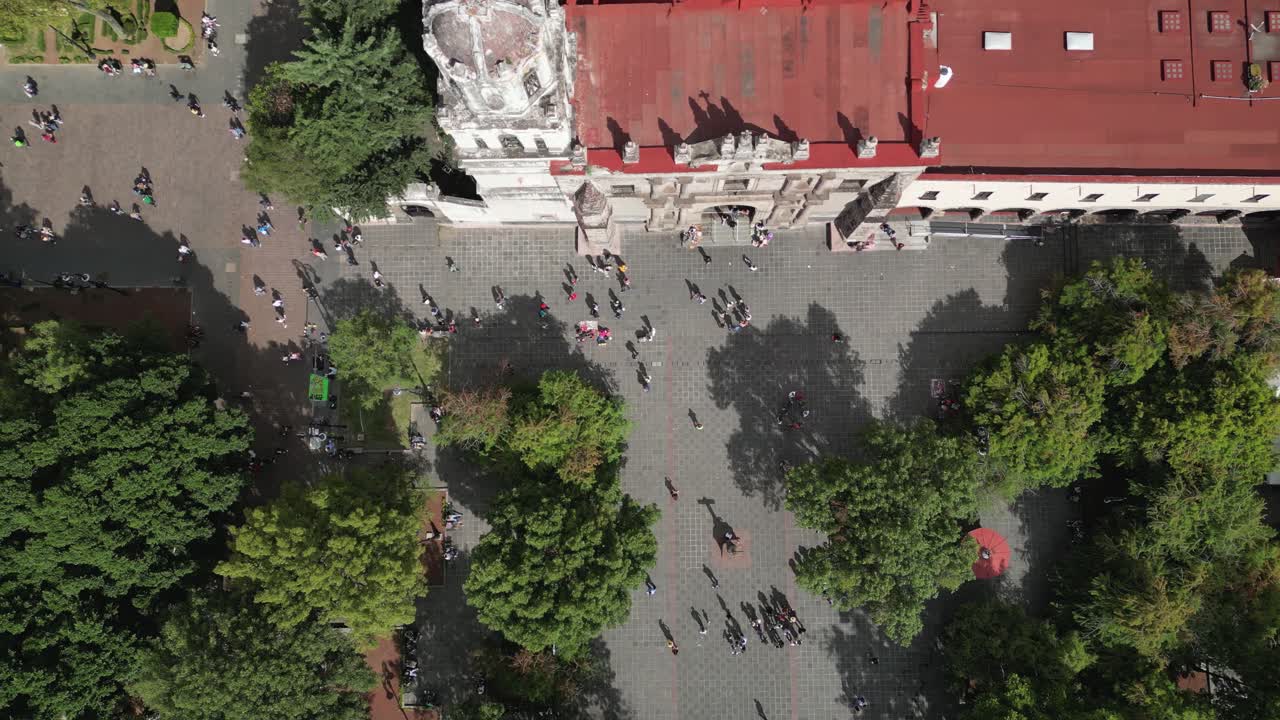 A Bird's-Eye, Hidalgo gardens and San Juan Bautista Parish