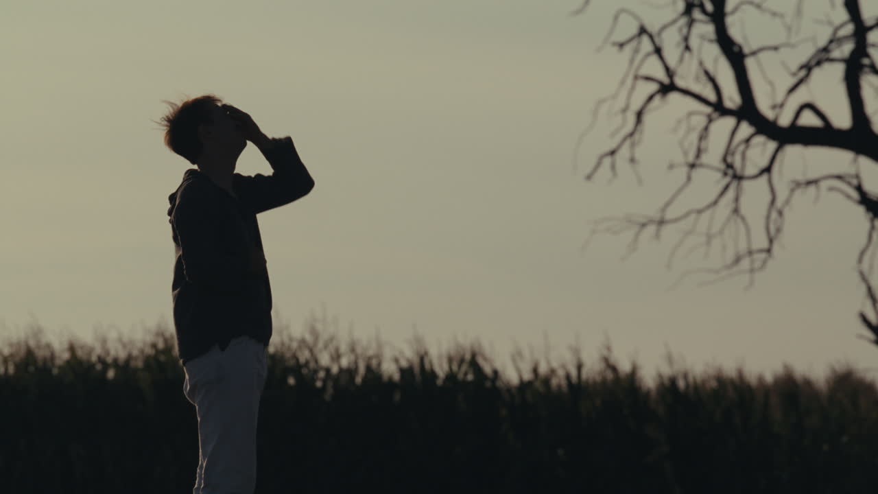 Silhouetted Person in a Field at Dusk