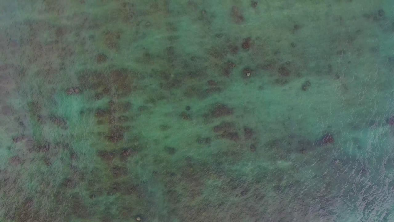 toma aérea de las aguas turquesas hawaianas del parque de hayas de la bahía de kawela cerca del resort de la bahía de tortugas