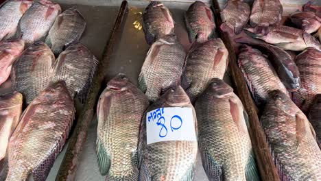 reihen von fischen zum verkauf auf einem marktstand